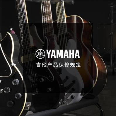 吉他、贝斯和音箱