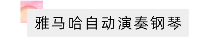 活动报道 | 远程艺术教育大师课活动—KA电子艺术家赵宇大师课